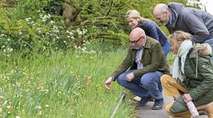 Teaching students from the London College of Garden Design - Credit: the London College of Garden Design